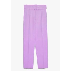 NWt Zara High Waisted Pants